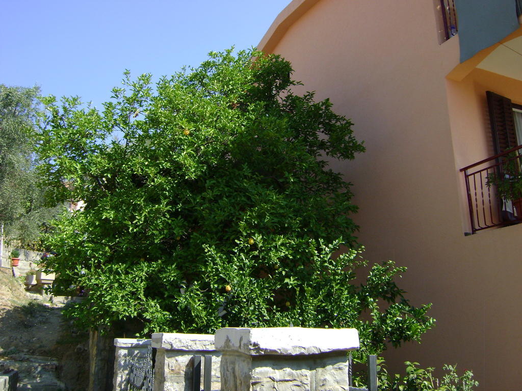 Apartments Kovacevic Petrovac Exterior photo